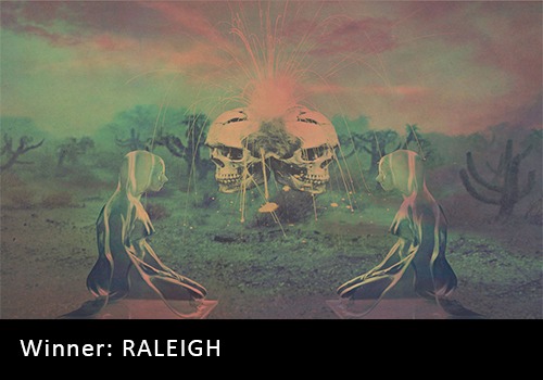 2018 Alternative Recording of the Year Winner - RALEIGH